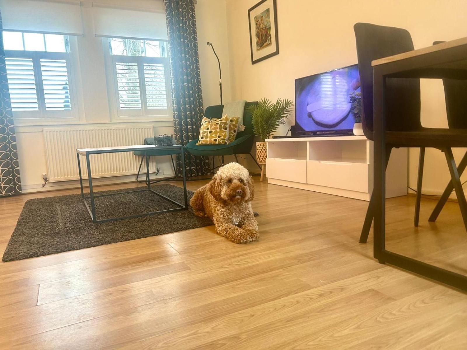 Fifty Five On Gilmour Street Apartman Eaglesham Kültér fotó